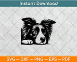 Peeking Border Collie Dog Svg Digital Cutting File