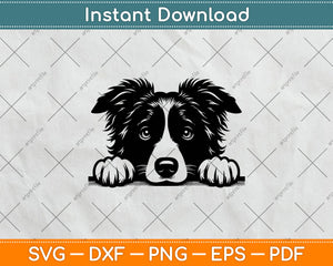 Peeking Border Collie Dog Svg Png Dxf Digital Cutting File