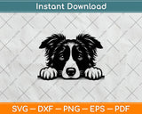 Peeking Border Collie Dog Svg Png Dxf Digital Cutting File