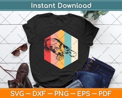 Platypus Vintage Lover Svg Png Dxf Digital Cutting File