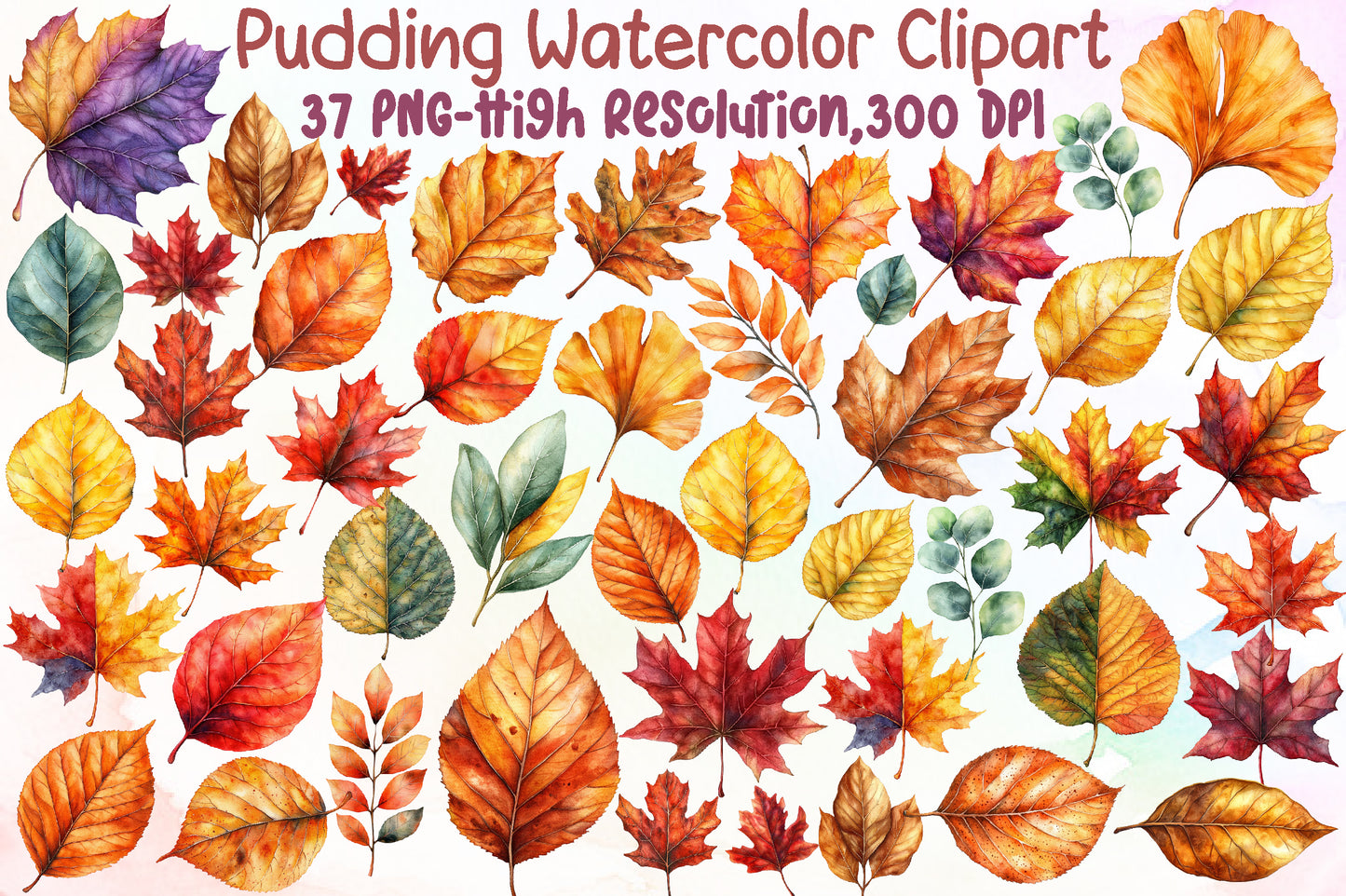Autumn Leaves PNG Bundle Fall Watercolor Clipart