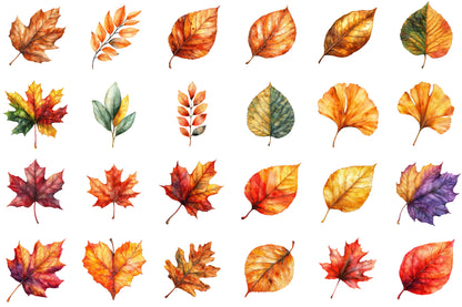 Autumn Leaves PNG Bundle Fall Watercolor Clipart