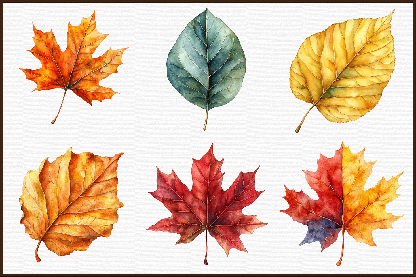 Autumn Leaves PNG Bundle Fall Watercolor Clipart