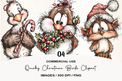 Quirky Christmas Birds Clipart PNG