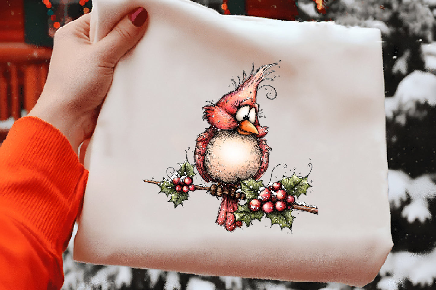 Quirky Christmas Birds Clipart PNG