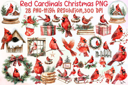 Red Cardinals Christmas Watercolor Clipart Holiday PNG Bundle