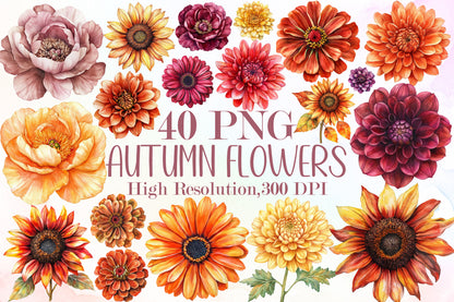 Watercolor Autumn Flowers Clipart Bundle PNG