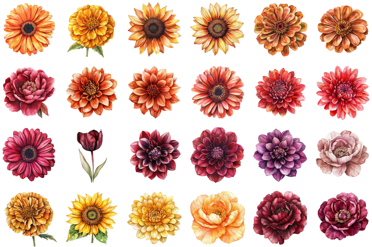 Watercolor Autumn Flowers Clipart Bundle PNG