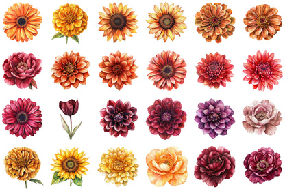 Watercolor Autumn Flowers Clipart Bundle PNG