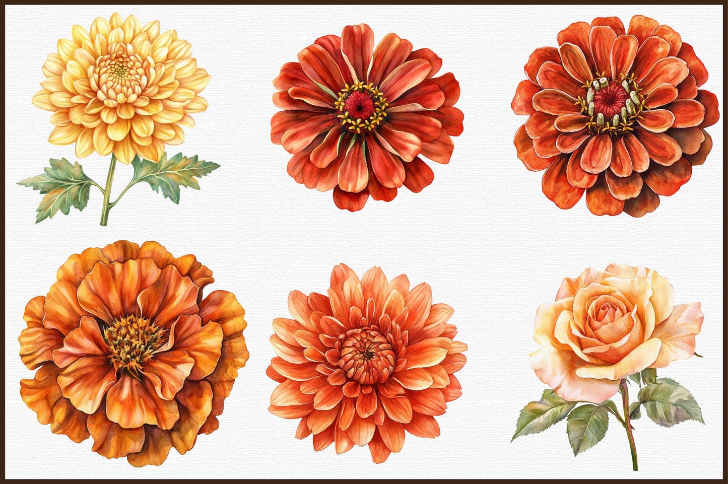 Watercolor Autumn Flowers Clipart Bundle PNG