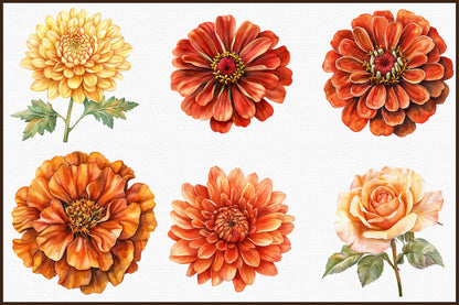 Watercolor Autumn Flowers Clipart Bundle PNG