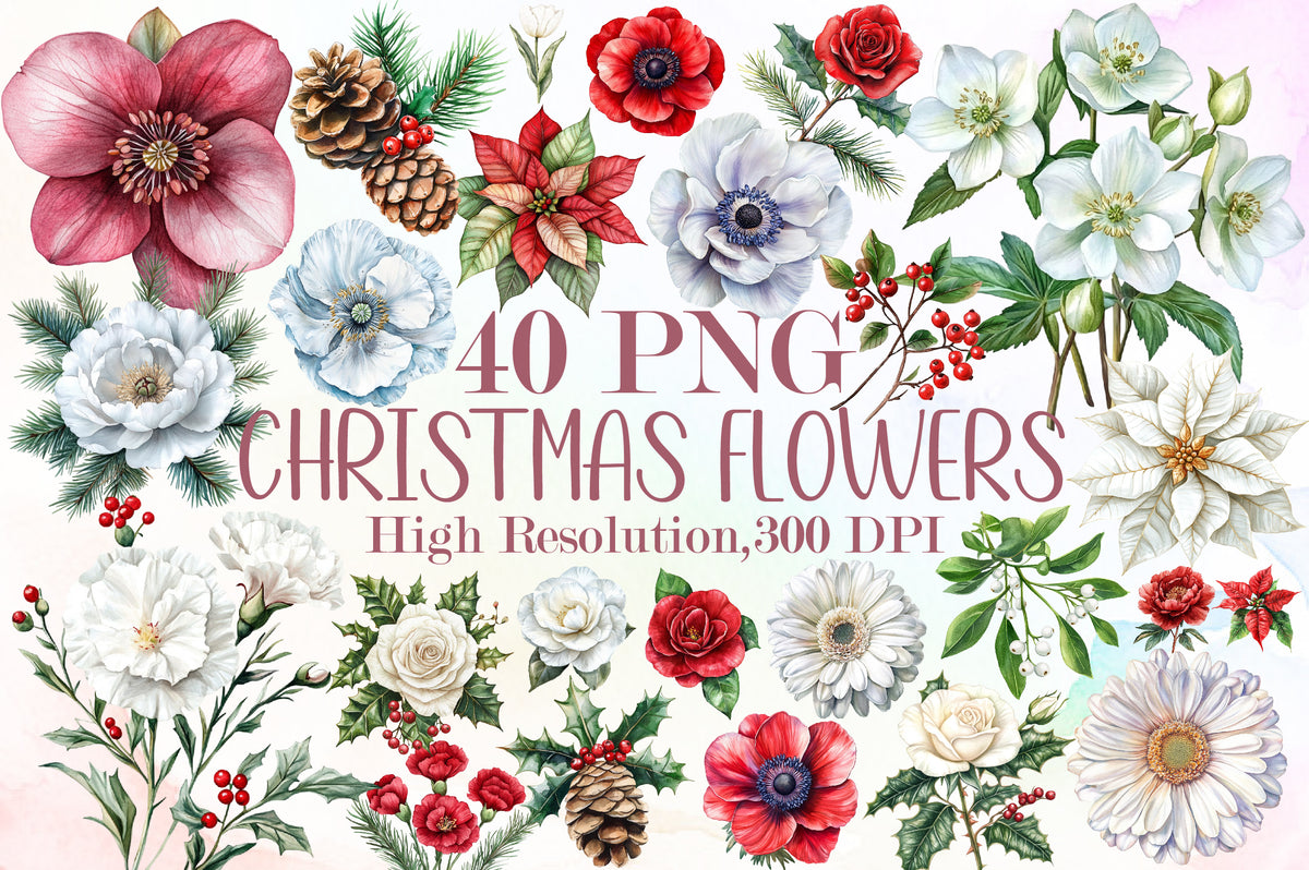 Watercolor Christmas Flowers Clipart PNG Bundle