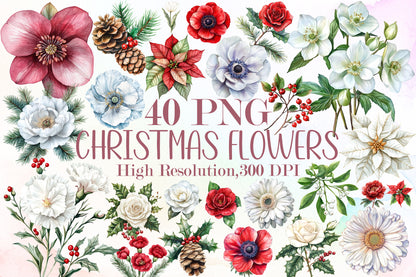 Watercolor Christmas Flowers Clipart PNG Bundle