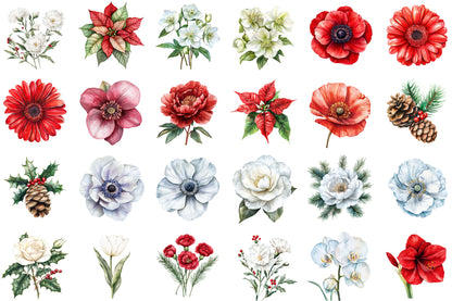 Watercolor Christmas Flowers Clipart PNG Bundle
