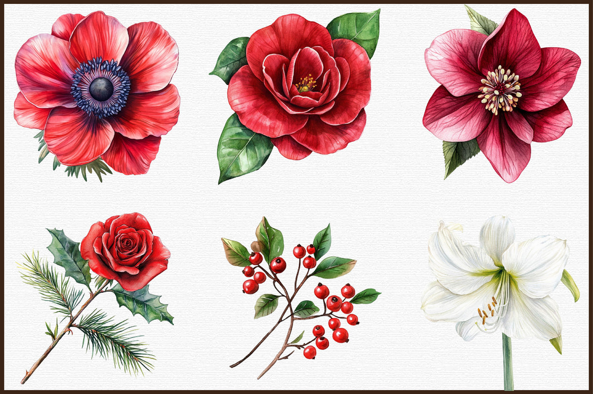 Watercolor Christmas Flowers Clipart PNG Bundle