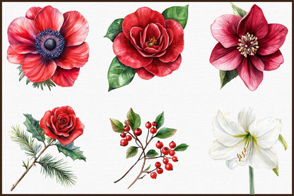 Watercolor Christmas Flowers Clipart PNG Bundle