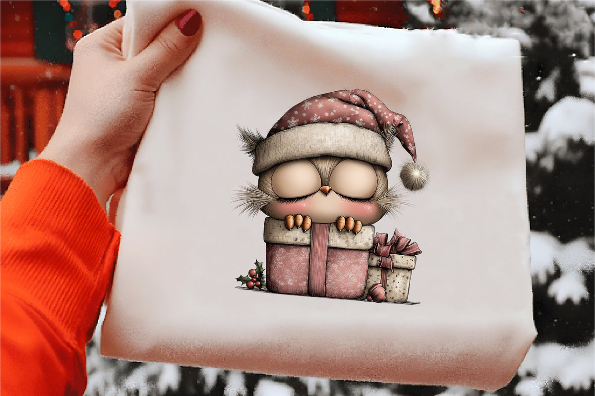 Watercolor Christmas Owls Clipart PNG