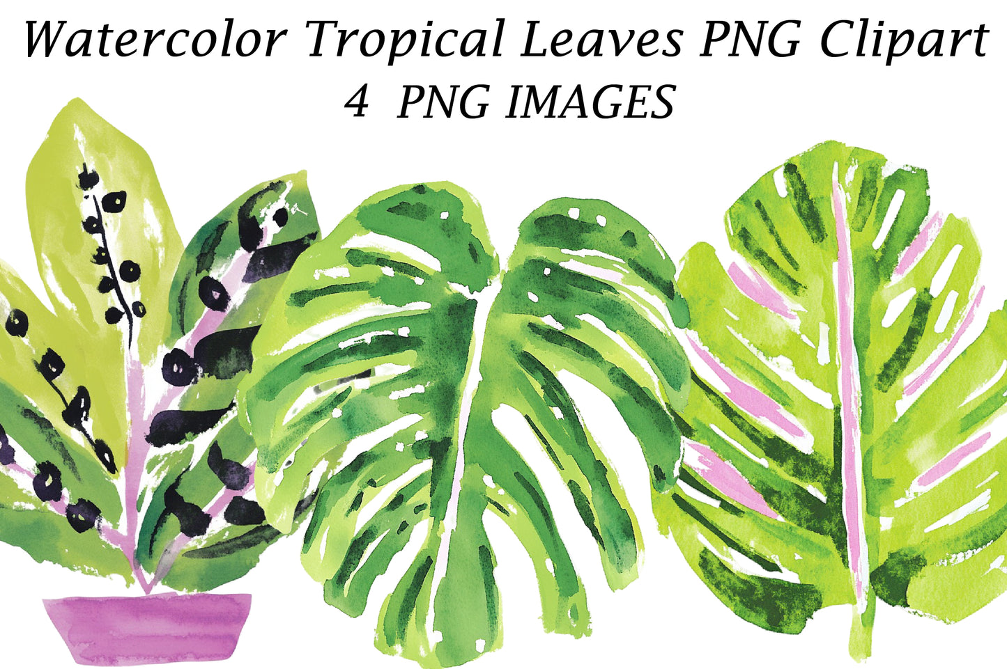 Watercolor Tropical Leaves PNG Clipart | Botanical Greenery Collection
