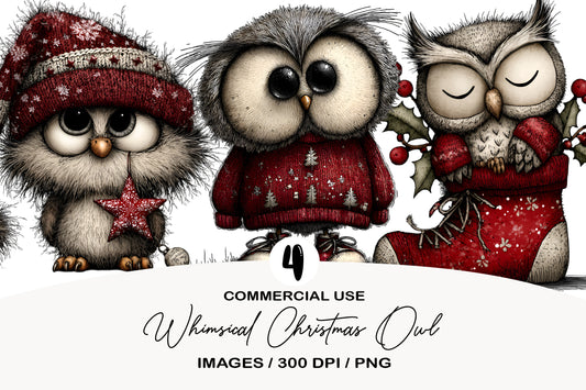 Whimsical Christmas Owl Clipart PNG Bundle | Cute Watercolor Holiday Owl Clipart | Festive Winter Owl PNG