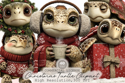 Whimsical Christmas Turtle Clipart PNG Bundle