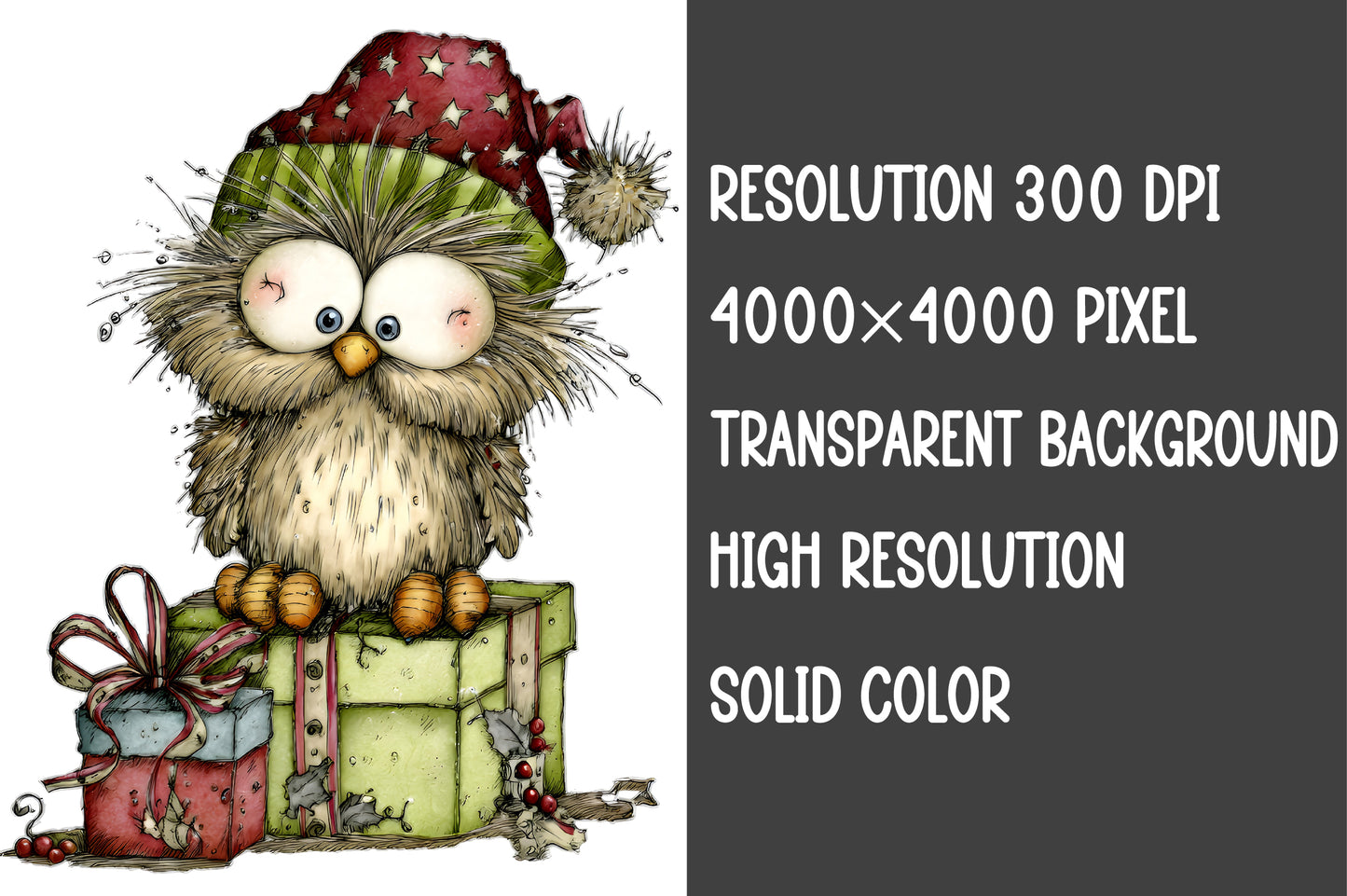 Whimsical Christmas Woodland Animals Clipart PNG