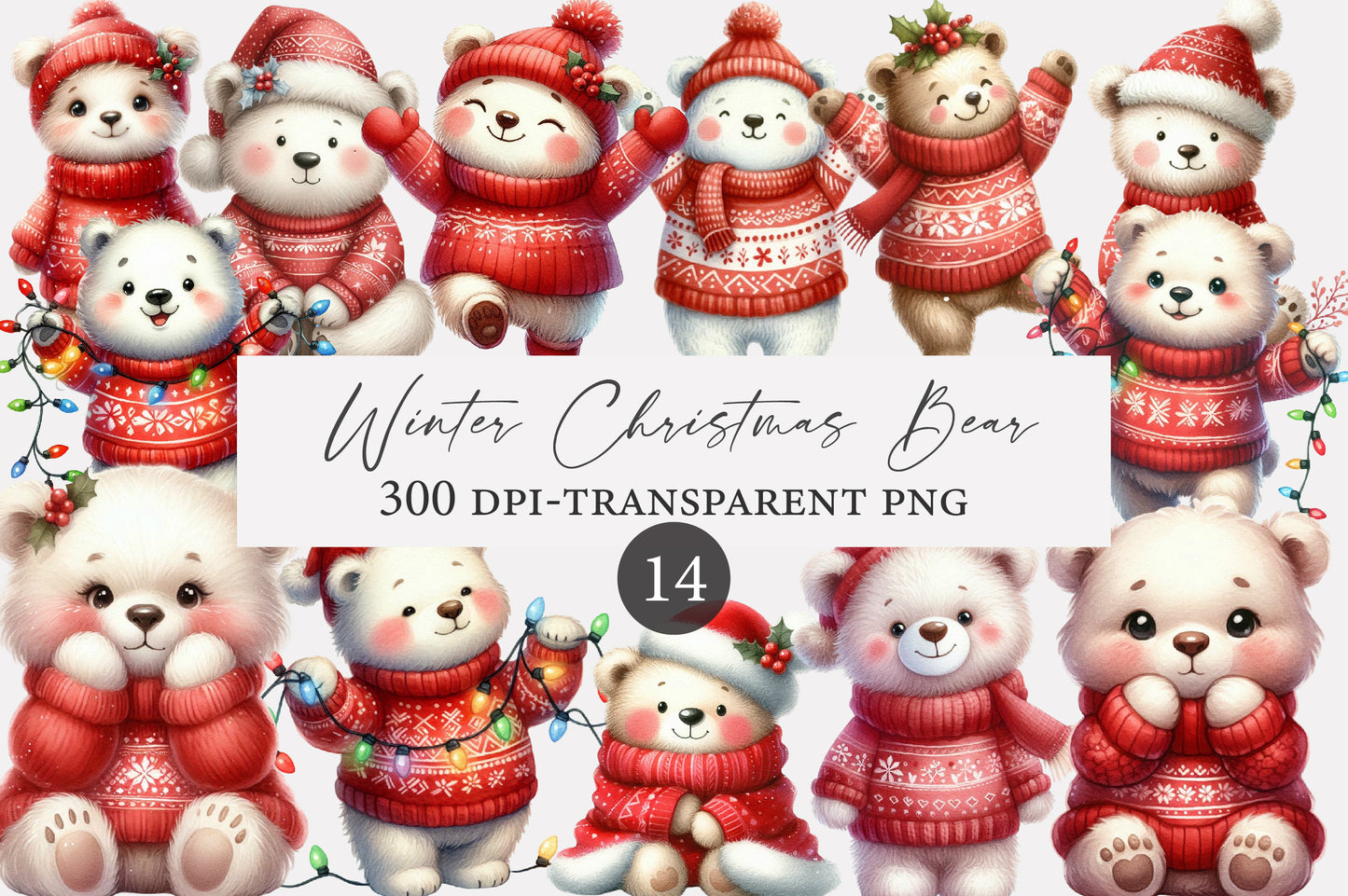 Winter Christmas Bear PNG | Cute Christmas Bear Clipart | 14 Transparent PNG