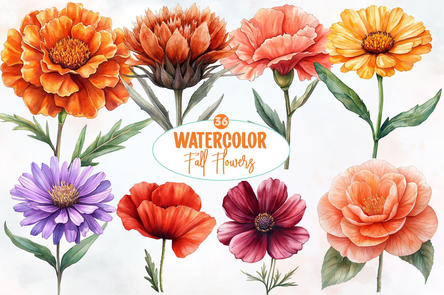 Watercolor Fall Flowers Clipart Bundle 36 PNG
