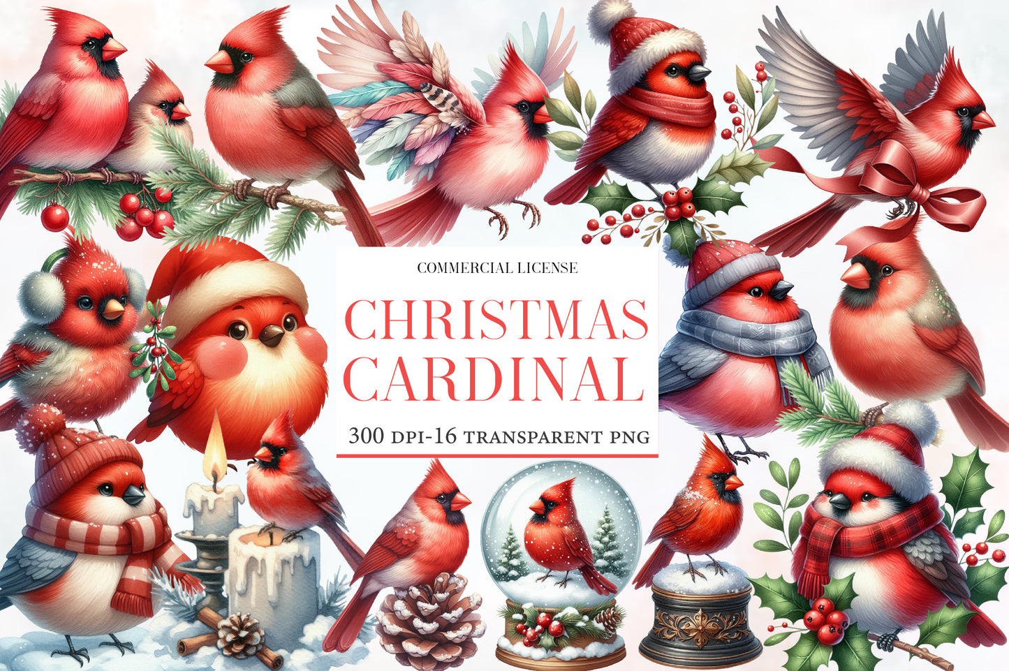 Christmas Cardinal Clipart PNG Bundle | Watercolor Cardinal Birds, Red Birds, Holly, Berries, Christmas Hats, Scarves & Winter Decor
