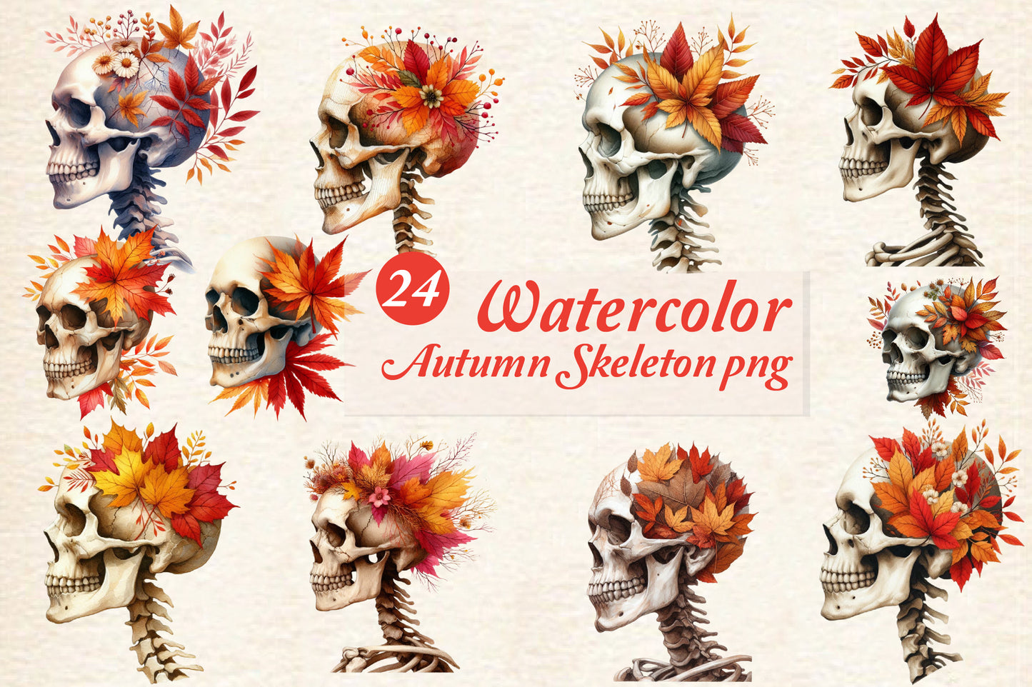 24 Watercolor Autumn Skeleton PNG Fall Skull Clipart