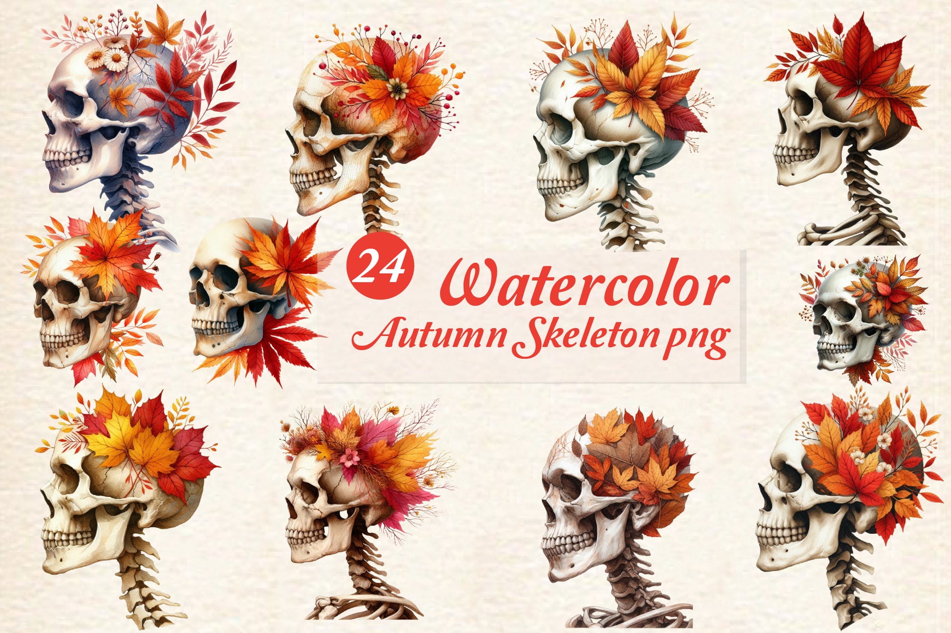 24 Watercolor Autumn Skeleton PNG Fall Skull Clipart
