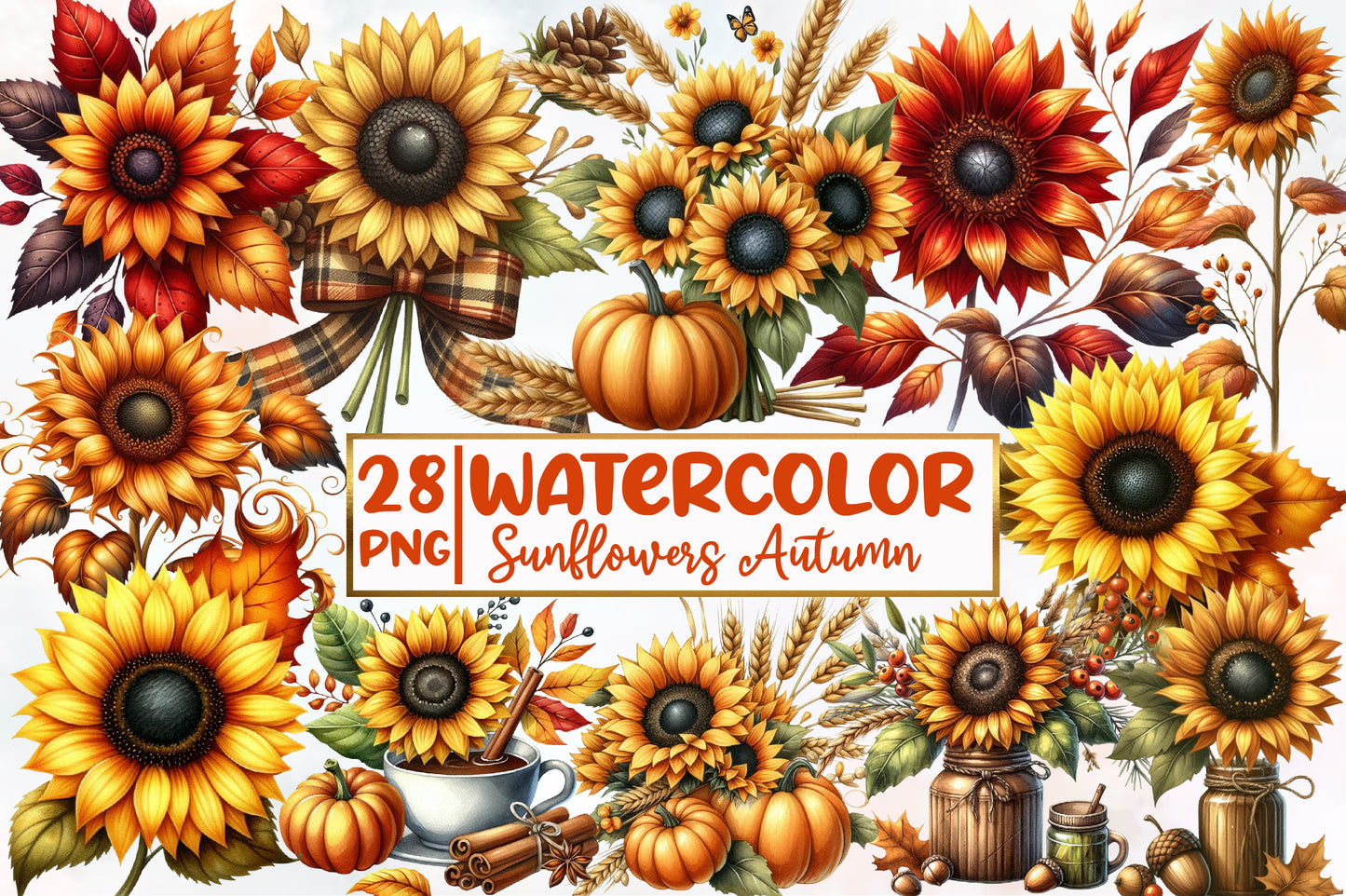 Sunflower Autumn Watercolor Clipart PNG Bundle | Fall Sunflower PNG | Autumn Floral Sublimation