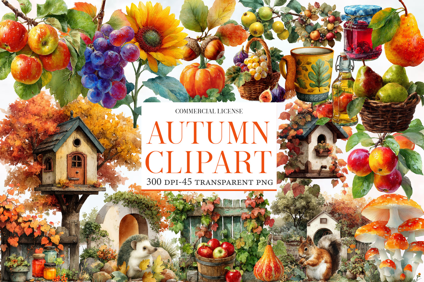 Autumn Watercolor Clipart PNG Bundle | Fall Harvest Clipart | Rustic Autumn PNG | Woodland Fall Sublimation