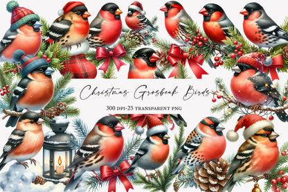 Christmas Grosbeak Birds Clipart PNG Bundle | Watercolor Winter Grosbeak Bird Clipart | Holiday Bird Sublimation PNG