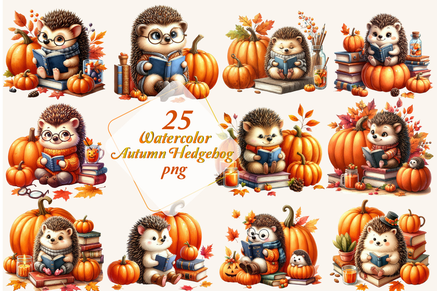 25 Watercolor Autumn Hedgehog PNG Cute Fall Hedgehog Reading Pumpkin Clipart