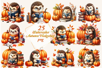 25 Watercolor Autumn Hedgehog PNG Cute Fall Hedgehog Reading Pumpkin Clipart