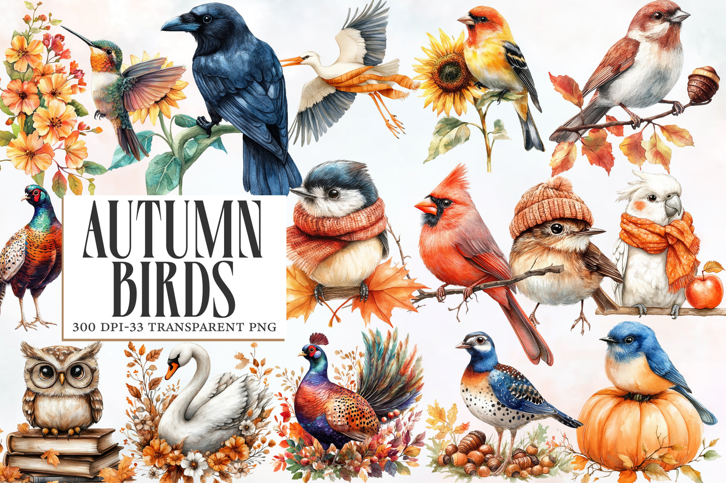 Autumn Birds Clipart PNG Bundle | Watercolor Fall Birds Clipart | Cozy Woodland Bird PNG
