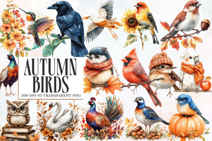 Autumn Birds Clipart PNG Bundle | Watercolor Fall Birds Clipart | Cozy Woodland Bird PNG