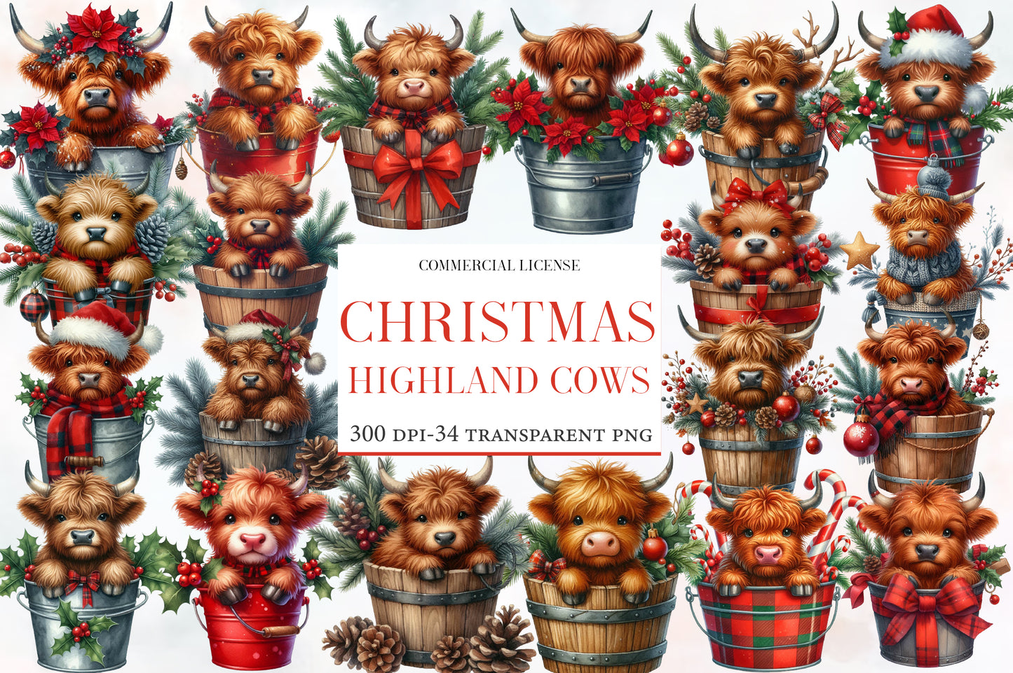 Christmas Highland Cows in Bucket Clipart PNG Bundle | Watercolor Cute Highland Cow in Bucket | Farmhouse Holiday Sublimation PNG