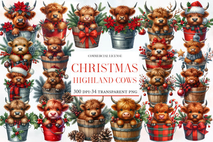 Christmas Highland Cows in Bucket Clipart PNG Bundle | Watercolor Cute Highland Cow in Bucket | Farmhouse Holiday Sublimation PNG