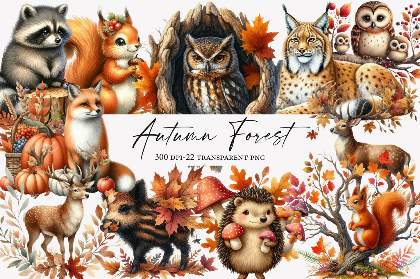 Autumn Forest Clipart PNG Bundle | Watercolor Woodland Forest Clipart | Cozy Fall Nature PNG