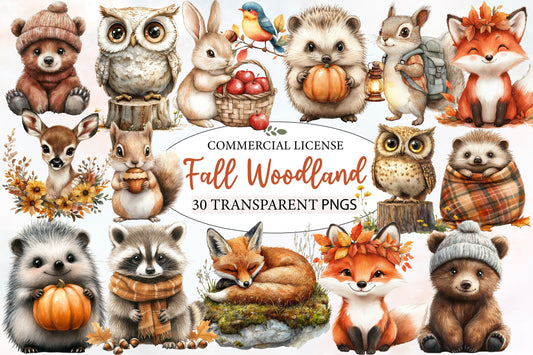 Fall Woodland Animals Clipart PNG Bundle | Cute Autumn Forest Animals | Woodland Creatures Sublimation