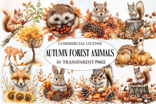 Autumn Forest Animals PNG Bundle 10 Cute Woodland Animal Clipart