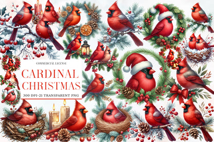 Cardinal Christmas Watercolor Clipart PNG Bundle | Red Cardinal Christmas Clipart | Christmas Bird Sublimation PNG