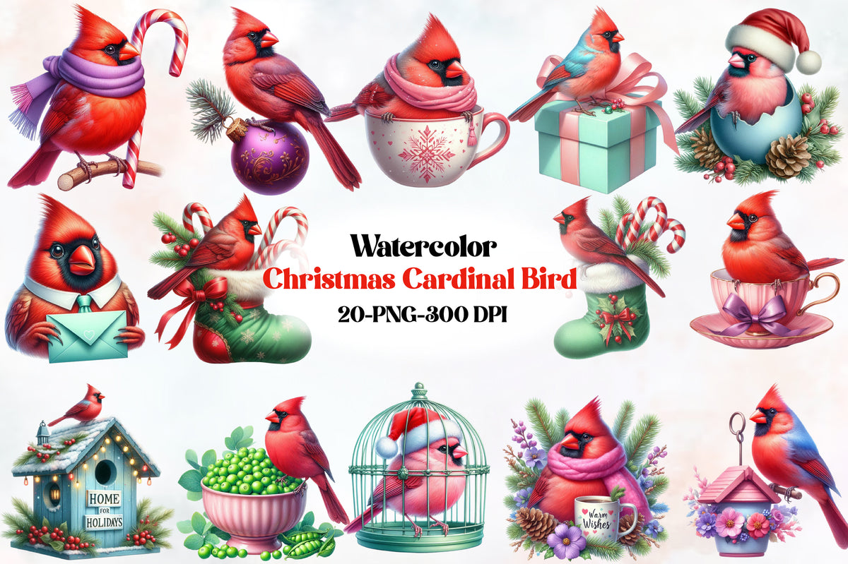 20 Christmas Cardinal Bird PNG Clipart Bundle Watercolor Holiday Red Bird