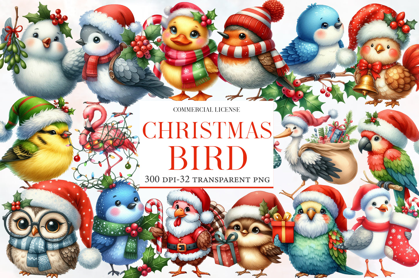 Christmas Bird Clipart PNG Bundle | Watercolor Festive Winter Bird Clipart | Holiday Bird Sublimation PNG