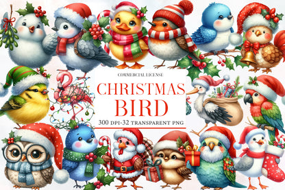 Christmas Bird Clipart PNG Bundle | Watercolor Festive Winter Bird Clipart | Holiday Bird Sublimation PNG