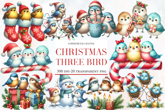 Christmas Funny Three Birds Sublimation PNG Bundle | Watercolor Cute Holiday Bird Trio Clipart | Funny Christmas Birds PNG