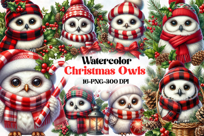 Watercolor Christmas Owl Clipart PNG Bundle | Cute Snowy Owls & Winter Holiday Birds