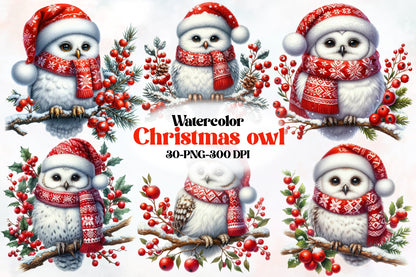 Watercolor Christmas Owl Clipart PNG Bundle | Cute Winter Owl & Holiday Birds