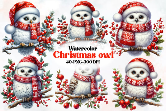 Watercolor Christmas Owl Clipart PNG Bundle | Cute Winter Owl & Holiday Birds